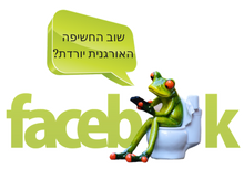 החשיפה האורגנית בפייסבוקה